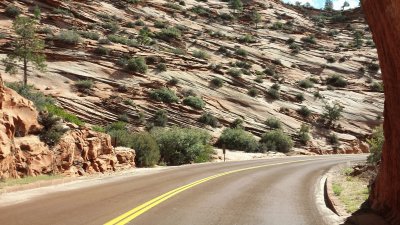 Zion National Park (3)