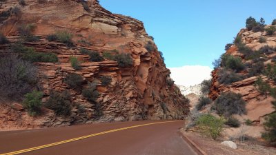 Zion National Park (5)