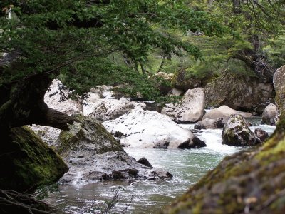 RÃ­o Pichi Traful. NeuquÃ©n. Argentina