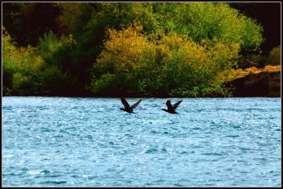 RÃ­o FutaleufÃº. Chubut. Argentina