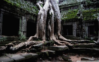 Angkor Wat Temple, Cambodia HD