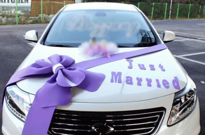 Just Married Car Decorations