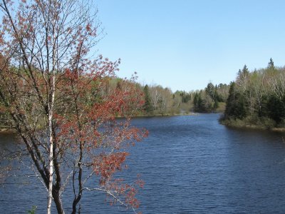 Spring time at the Big Dam