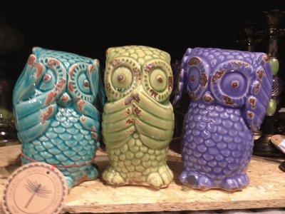 Owls