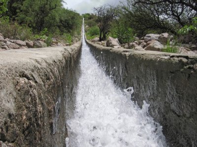 En Cafayate. Salta. Argentina