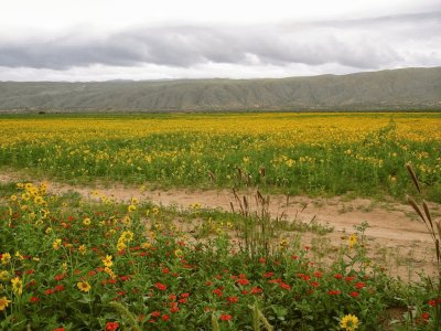 En la Provincia de Catamarca. Argentina