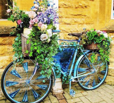 Bicycle n flowers