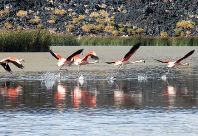 Laguna Diamante. Catamarca. Argentina