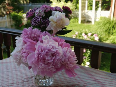 Pretty Fresh Cut Flowers