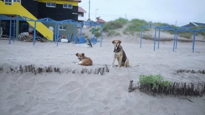 en la playa