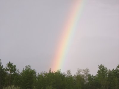 Rainbow after the storm      LJ