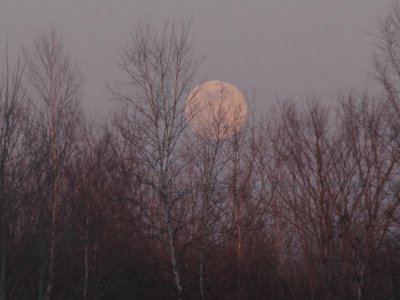 Full moon rising