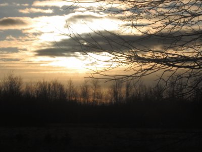 Frosty sunrise