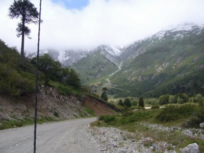 En la RP11. NeuquÃ©n. Argentina