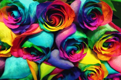 Dye Dipped Rainbow Roses