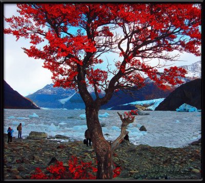 Lago Alto. Tierra del Fuego. Argentina