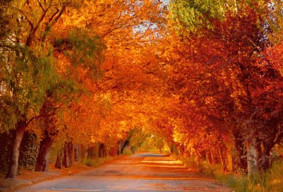 OtoÃ±o en Mendoza. Argentina