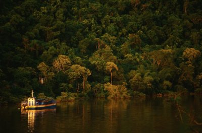 Forrest, Misiones