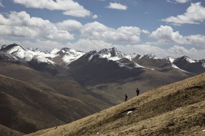 Tibetan cordycep harvesters