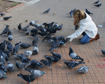 alimentando palomas