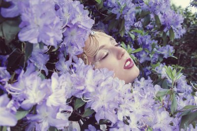 Slumber in the Purple Flowers