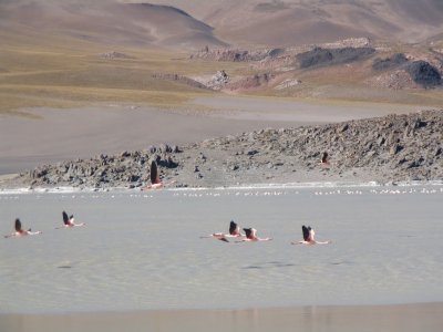 Laguna Grande. Catamarca. Argentina