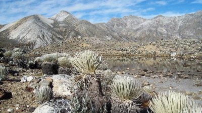 Sierra Nevada,MÃ©rida