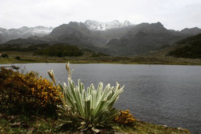 Laguna de MucubajÃ­