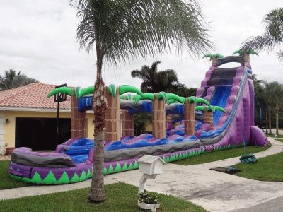 Inflatable Water Slide-Whee!