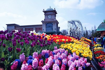 Flower Festival-Everland, Korea