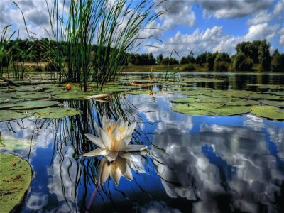 Landschaft