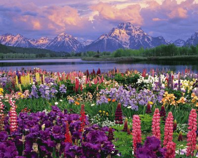 Grand Teton National Park