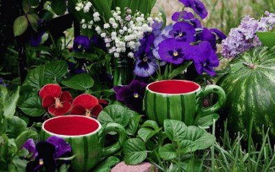 Watermelon Tea Cups in the Garden