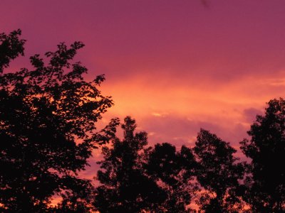 Fiery Renous sunrise..just before the rain!