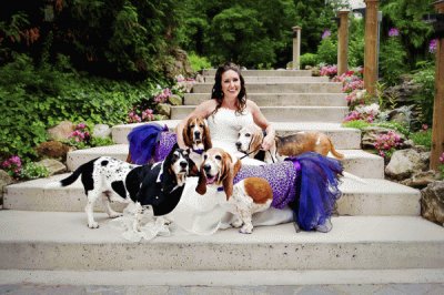 Bride and Her Basset Hound Wedding Party