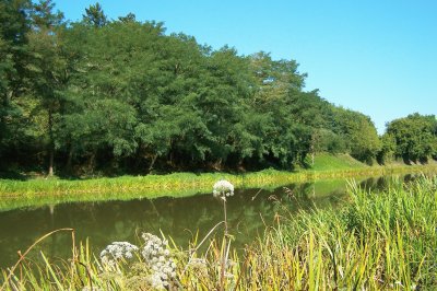 Bord du canal