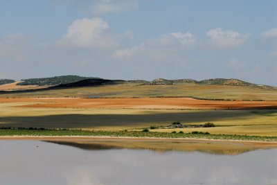 SALADAS ALCAÃ‘IZ