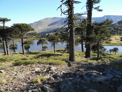 Caviahue. NeuquÃ©n. Argentina