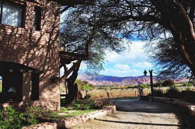 En Cafayate. Salta. Argentina