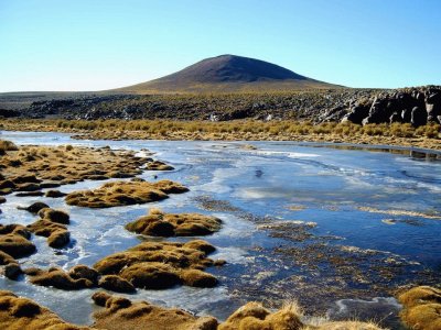 Antofagasta de la Sierra. Catamarca. Argentina