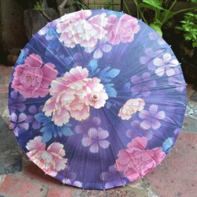 Pretty Handmade Chinese Parasol