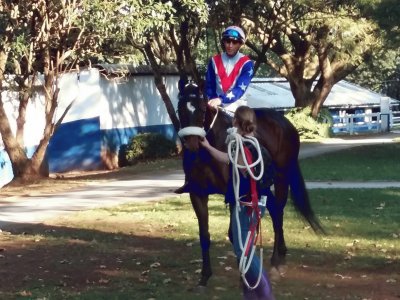 Horse at Summerveld