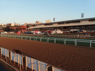 Early Morning at Racecourse