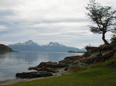 En Tierra del Fuego. Argentina