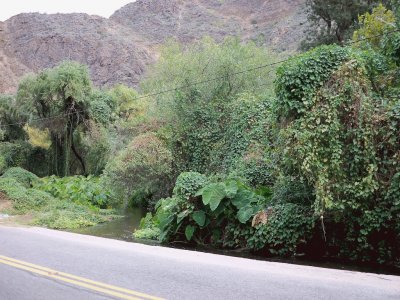 En la Ruta 75. La Rioja. Argentina