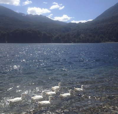 Lago Steffen. RÃ­o Negro. Argentina