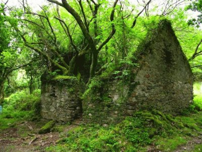 The Kerry Way walking path between Sneem and Kenma