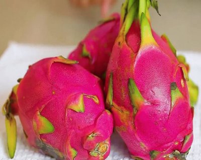 Dragon Fruit