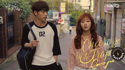 cheese in the trap