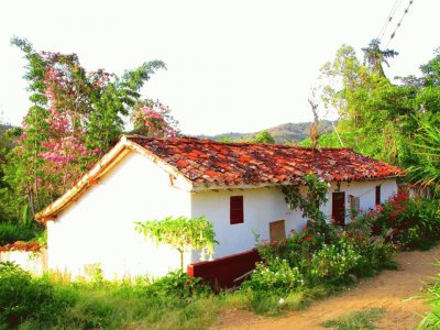 casa con jardines